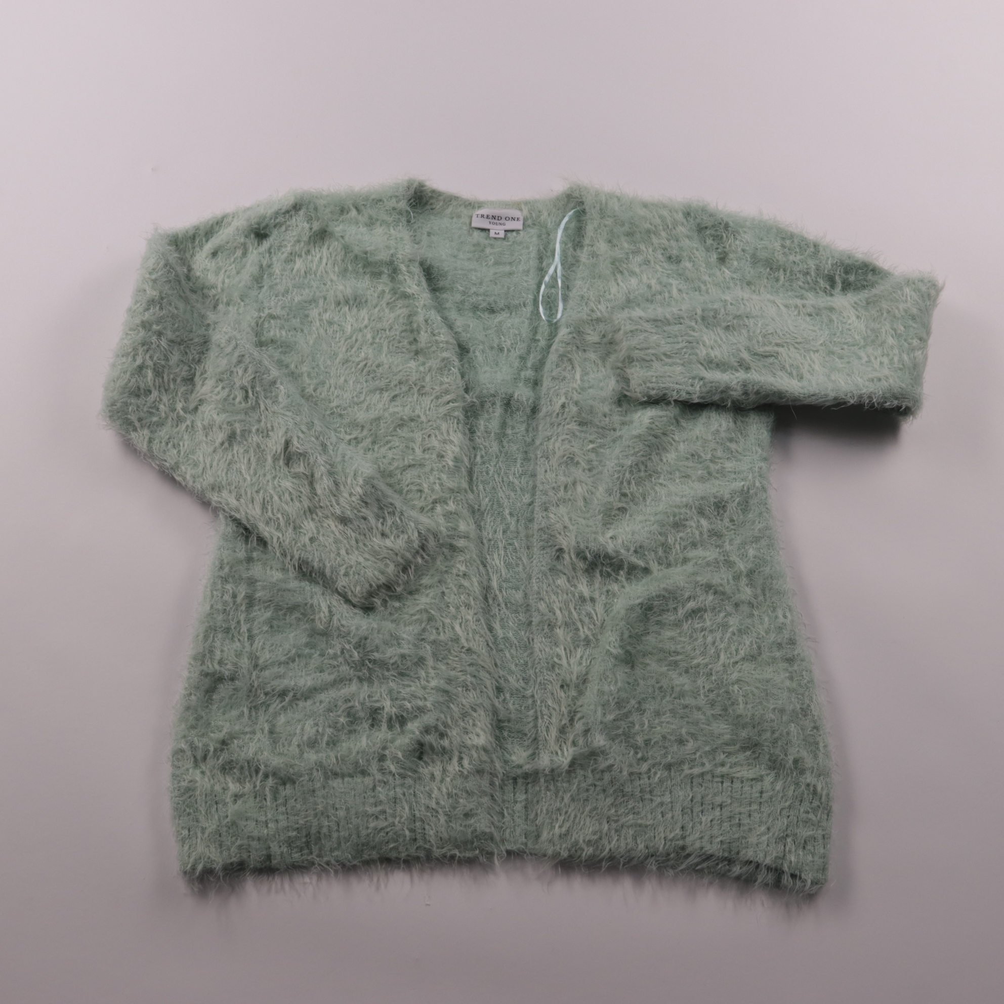 250101339-1
